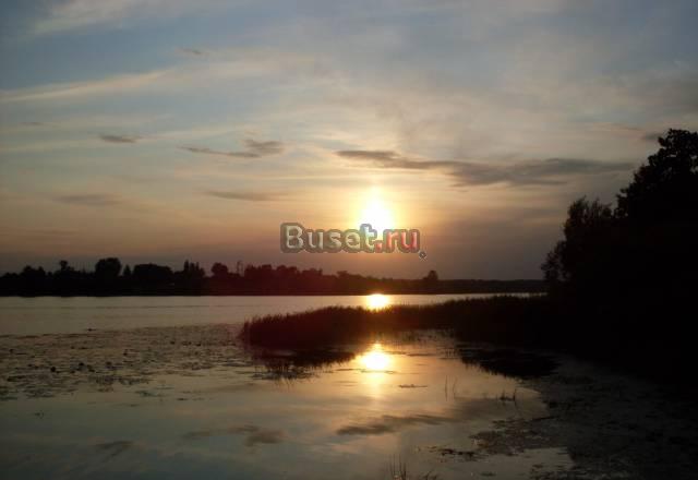 Сдам дом в Псковской области на летнее время Москва