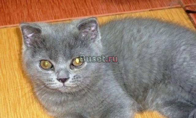 Голубой мальчишка Москва