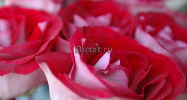 Фотосъемка, видеосъемка, монтаж, авторинг и пр Москва