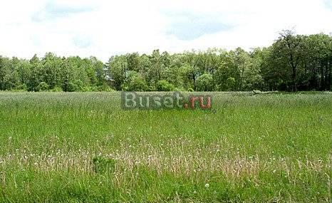 Продается участок с гостевым домом из бруса Пушкино