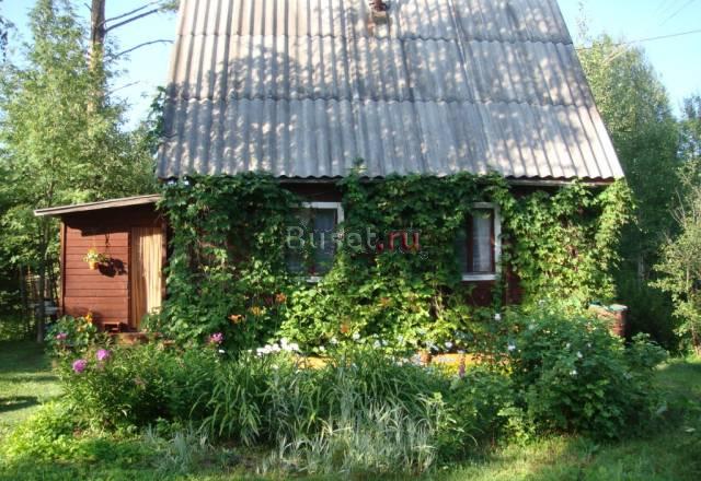 Участок с домом Курортный район Белоостров Санкт-Петербург