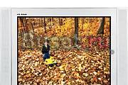Телевизор Samsung CS29K5WT (диагональ 72 см) Москва