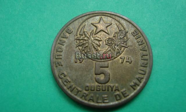 5 оугуя Новосибирск
