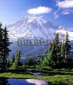 Стихи Москва