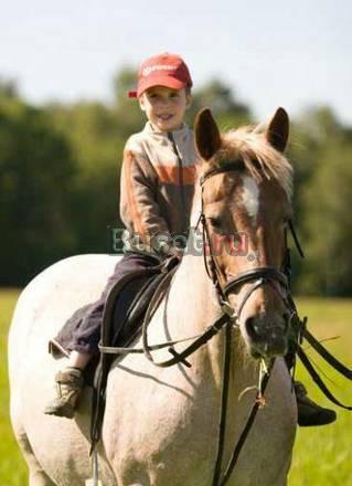 верховая езда,20мин.от м.Молодежная,обучение с нуля,конные прогулки Москва