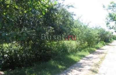 Дача в Электростали со светом и водой Электросталь