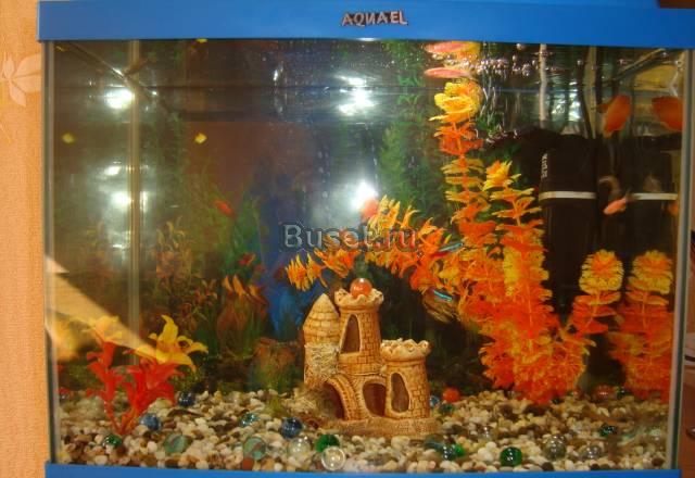 Аквариум aquael 45л Санкт-Петербург