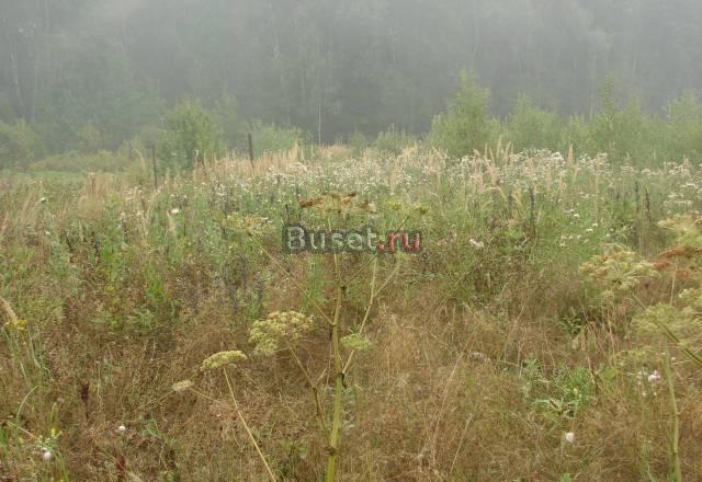 87 км от МКАД по Киевскому ш., з/у в СНТ "Берёзка" Москва