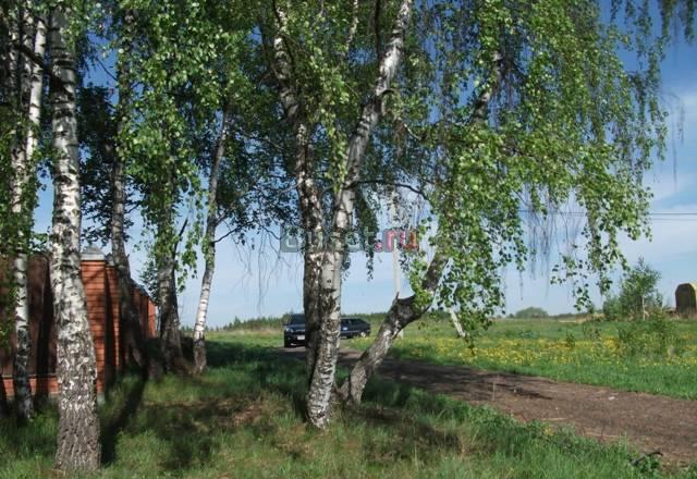 Участок 10 соток Новорязанское шоссе Москва