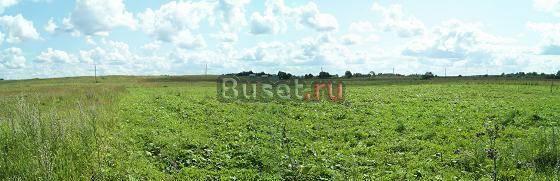 Волосовский р-н, п. Ущевицы. лпх. Участок 50 соток Санкт-Петербург