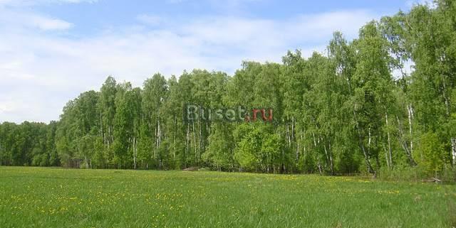 Участок в Серп. р-не,77 км от МКАД,рядом лес, река Серпухов