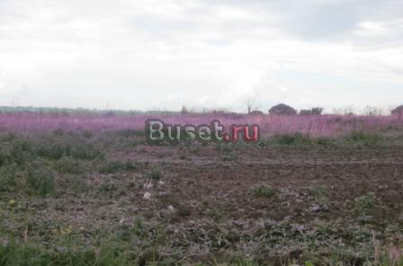 Земельный участок в с. Красное Переславль-Залесский