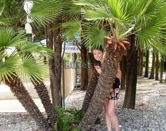 Отдых на море, п.Небуг Краснодарский край Туапсе