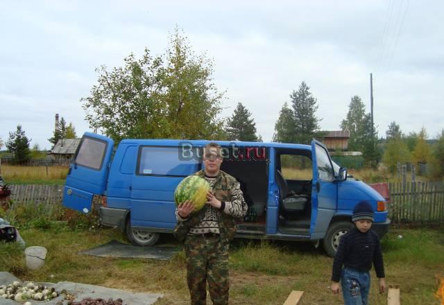 Volkswagen Другое, 1993 Мурманск
