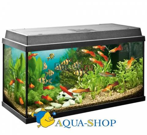Продается аквариум Juwel и Aquael Pearl Москва