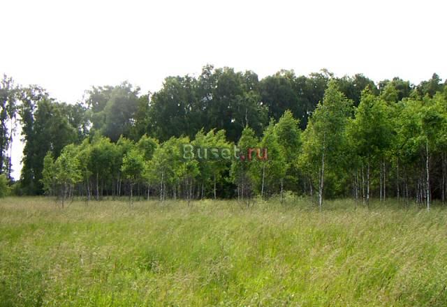 Участок 10 соток, Симферопольское направление Москва