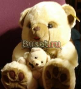 Медведь светлый Саратов