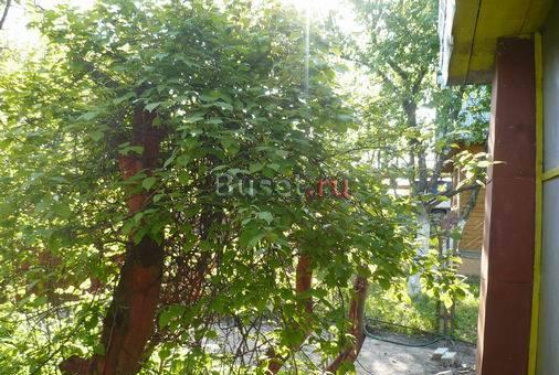 Дача на озере Плещеево Переславль-Залесский