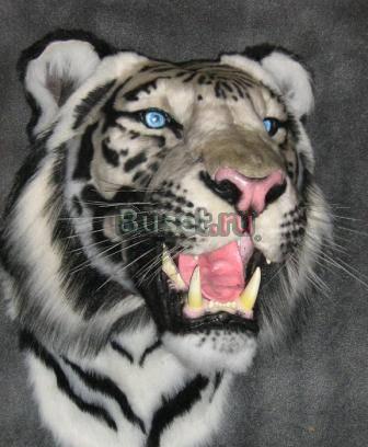 Продам чучела зверей и птиц , дешево Москва