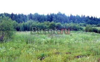 Участок 11 сот днп в Верхних Осельках Всеволожск