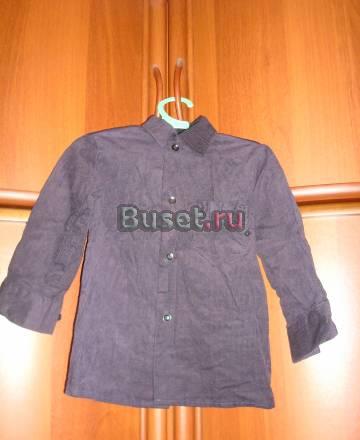 Рубашки,футболка и кофта Санкт-Петербург