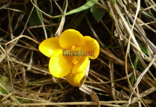 Участок с фундаментом и колодцем.Выгодно Воскресенск