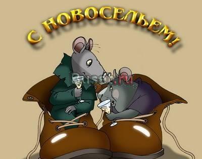 Сдам  2ккв., Долгоозерная 33, м. Ком. проспект Санкт-Петербург