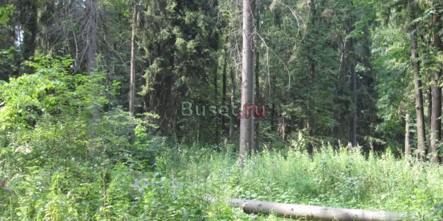 Продам участок 1 га по Киевскому шоссе Москва