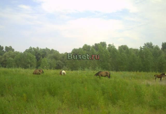 Земельный участок частная собственность Харабали