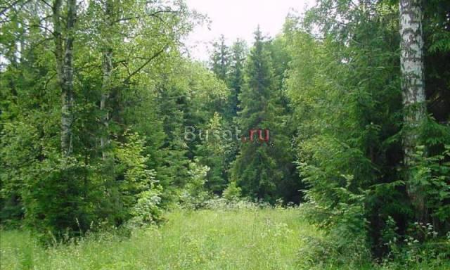 Продам участок  ижс Кузнецово д Лукино Красноярск