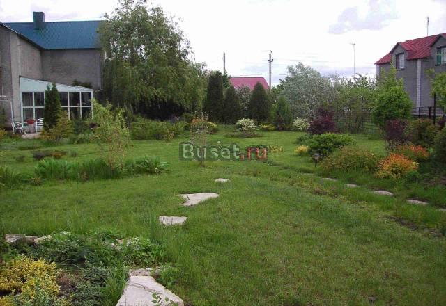 Декоративно-лиственные кустарники и растения Липецк