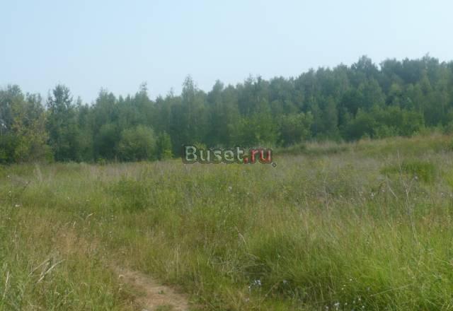 Продам земельный участок в д. Борисово  Серпуховск Серпухов