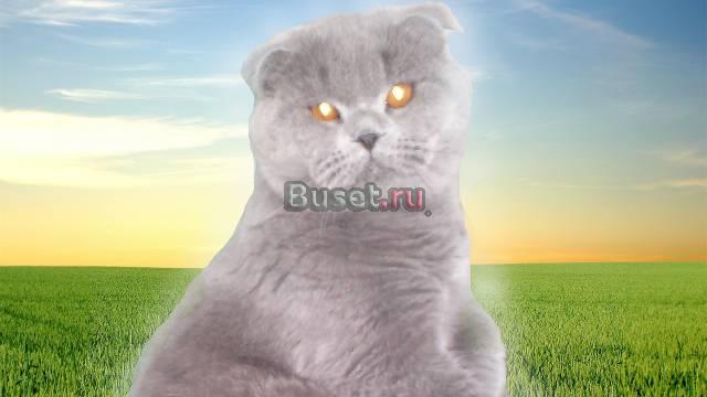 Приглашаем на вязку Мытищи