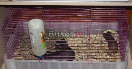 Продам б/у клетку Москва