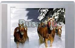 Samsung CS-29A11 SSQ Москва