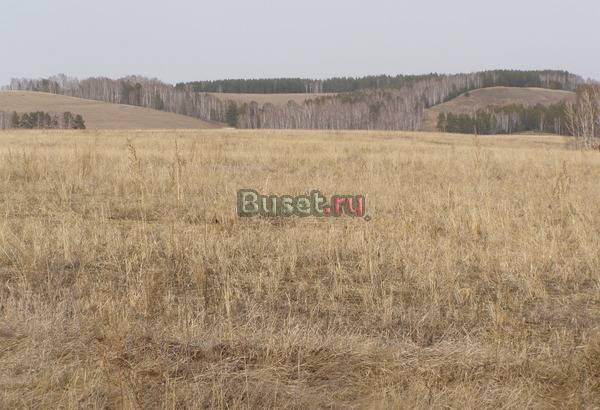 Новый дачный поселок Красноярск