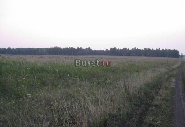 Челябинск. 20 км. Продаю родовые поместья. От 1 га Челябинск