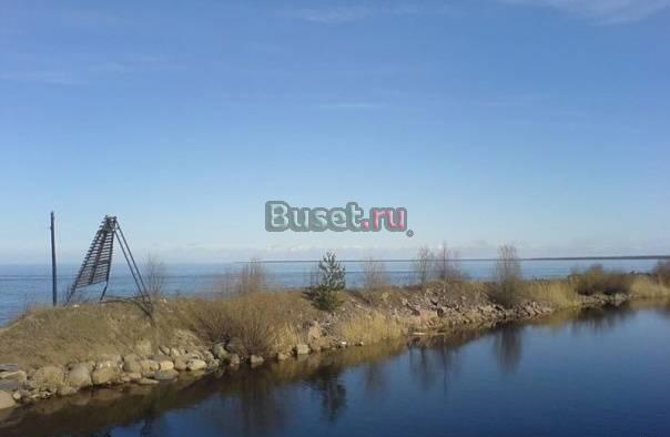 Уч. 12 сот., ижс, Шлиссельбург, берег Ладоги Шлиссельбург