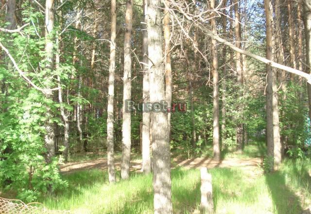 Дача в с/о Орбита 2 Набережные Челны