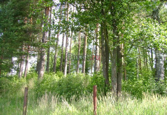 Участок ижс приозерский район Приозерск