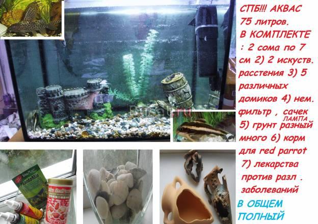Аквариум 75 литров,полный комплектации Санкт-Петербург