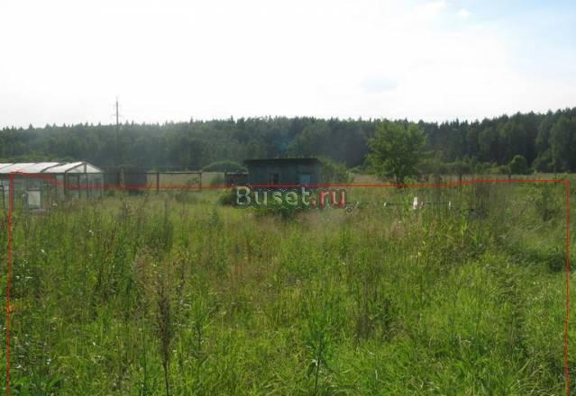 Участок у соснового леса напротив речки Александров