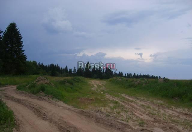 Орлино Санкт-Петербург