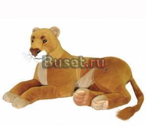 Африканская львица Москва