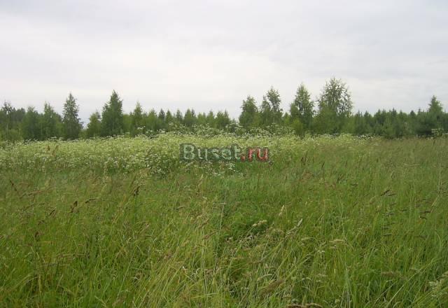 Земля 13 гектар Переславль-Залесский