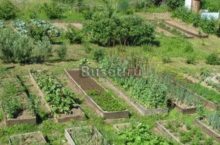 Дача Иркутск