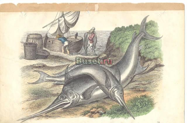 Литографии старинные Москва