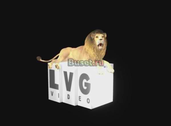 Видеоклипы дешево Москва