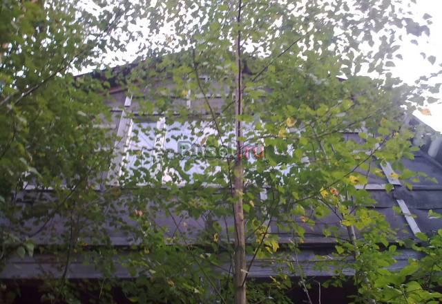 СНТ "Искра" Москва