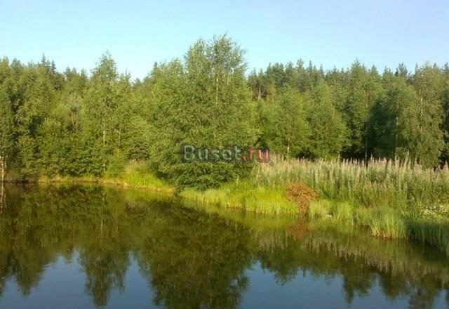 Участок у воды,в сосновом бору.78км от МКАД Москва